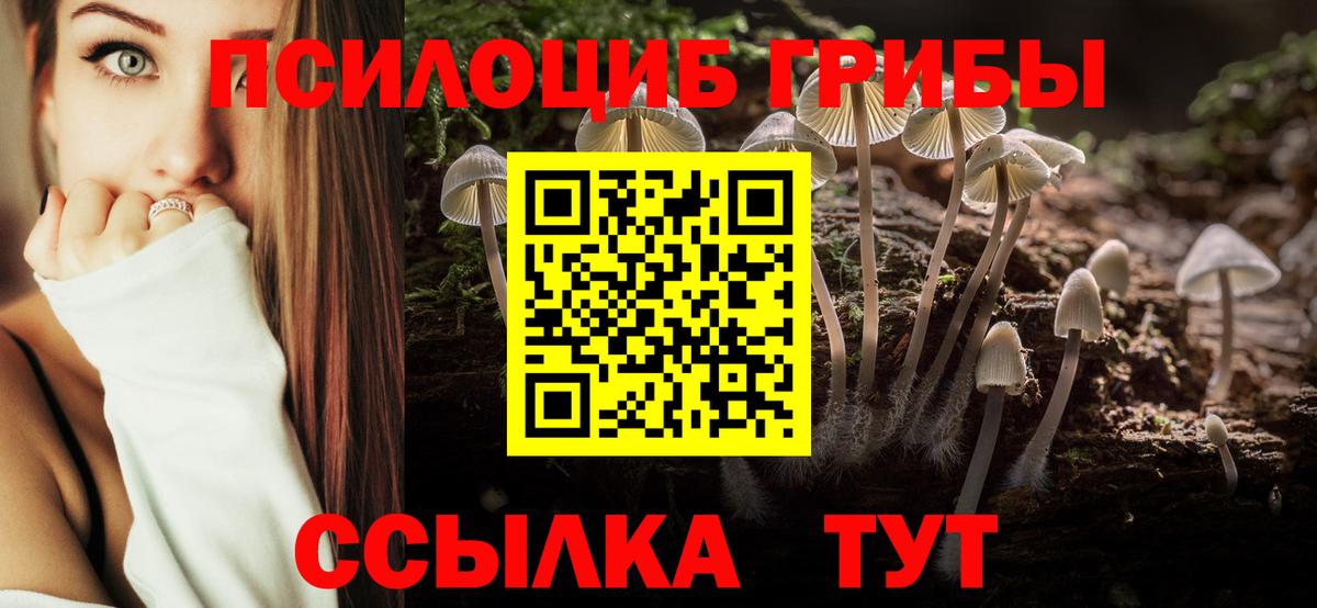 Дзержинск  Галлюциногенные грибы Cubensis  Вход с VPN 